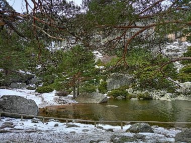 Karla kaplı uçurumlar, yemyeşil çam ağaçları ve Laguna Negra de Urbion, İspanya 'da huzurlu bir göl..