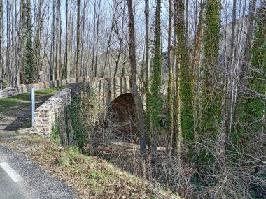 Yanguas, Soria 'daki Cidacos Nehri üzerindeki taş kemerler, akan sular ve yemyeşil bitki örtüsüyle eski Roma köprüsü..
