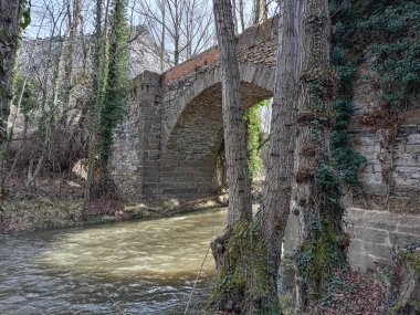 Old Roman bridge over the Cidacos River in Yanguas, Soria, with stone arches, flowing water, and lush vegetation. clipart