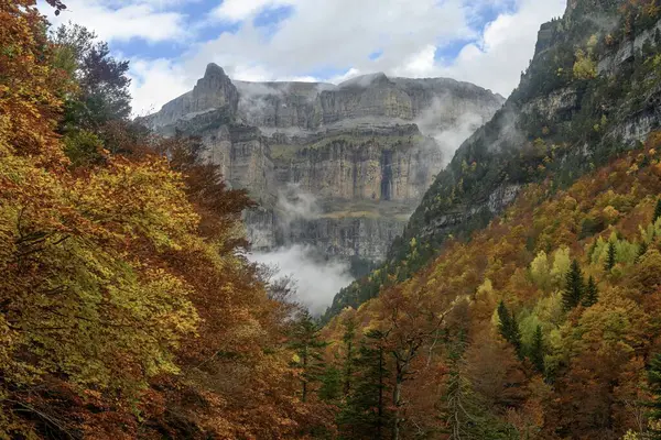 Yüksek uçurumlar, sisli bulutlar ve renkli ağaçlardan oluşan canlı bir ormandan oluşan nefes kesici bir manzara..