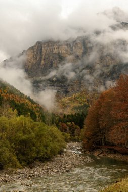 Kristal gibi berrak bir nehir ormanlık bir vadide süzülüyor, dramatik uçurumlar ve sis sakin bir doğal manzara yaratıyor..