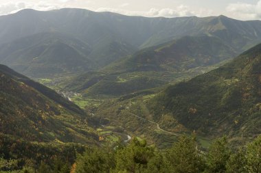 Yeşil tarlalar ve manzaralı bir dağ bölgesindeki ormanlık tepelerle çevrili tuhaf bir köyün hava görüntüsü..