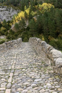 Kırsal taştan bir köprü, yemyeşil ve engebeli uçurumlarla çevrili, ormanlık bir dağ vadisinde, turkuaz bir nehrin üzerinde kemer şeklinde uzanır..