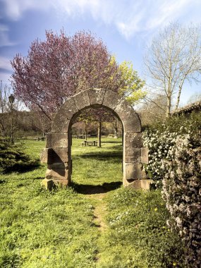 Çiçek açan ağaçlar ve açık gökyüzü olan yeşil bir parkta eski bir taş kemer yolu.