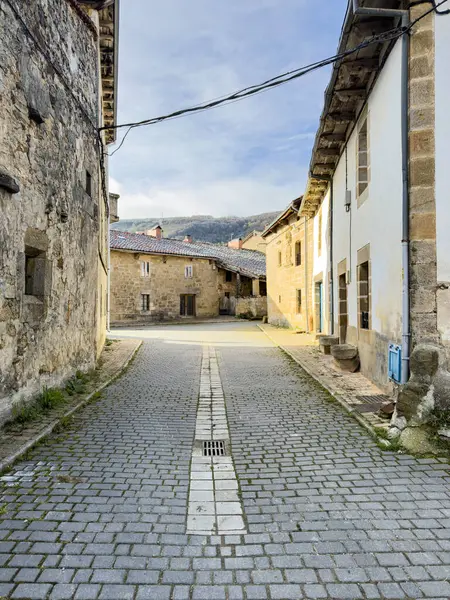 Olleros de Paredes Rubias 'daki dar kaldırım taşı caddesi, Palencia' nın kırsal bir köyü.