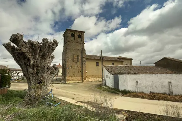 Moratinos, Palencia 'daki Santo Tomas Kilisesi' nin çan kulesi büyük budanmış bir ağacın arkasında.