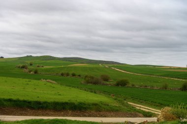 Palencia 'nın geniş kırsal kesimlerinde yemyeşil alanlar, dağınık ağaçlar ve baharda bulutlu bir gökyüzünün altındaki uzak ormanlık tepeler görülüyor..