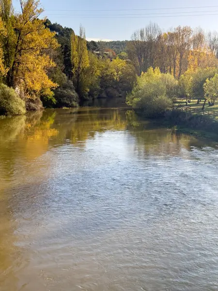 İspanya, Palencia 'da yeşil yeşillik ve sakin sularla Pisuerga Nehri manzarası