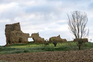 Palencia 'da ağaçlarla ve bulutlu gökyüzüyle kırsal alanda eski çamur kalıntıları.