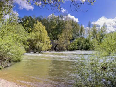 Ağaçlar ve bitki örtüsü olan bir nehri sakin bir doğal ortamda geçen tarihi taş köprü.