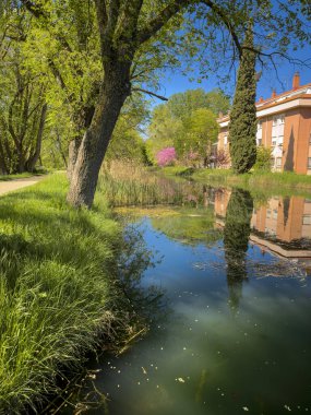 Palencia 'daki Castilla Kanalı' nda ağaçlar, yansımalar, çimenler ve nehir kenarında huzurlu bir patika var.