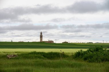 Kuzey İspanya 'daki Fuentes de Nava yakınlarındaki manzaralı tarım arazisine Gotik kilise kulesi hakim.