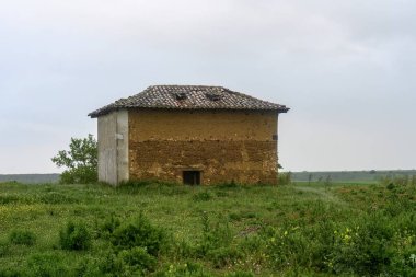 Yıpranmış duvarları ve yaban otları ve açık manzarayla çevrili kiremitli çatısı olan kır güvercini.