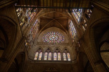 Gotik bir katedralin içinde büyük bir gül penceresi ve canlı vitraylı camlar sergileniyor.