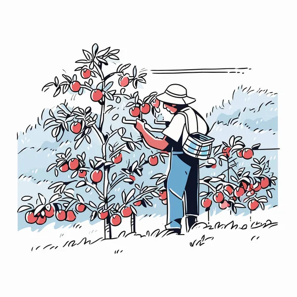秋の果樹園で熟したリンゴを収穫する農家 ベクトル図 — ストックベクタ