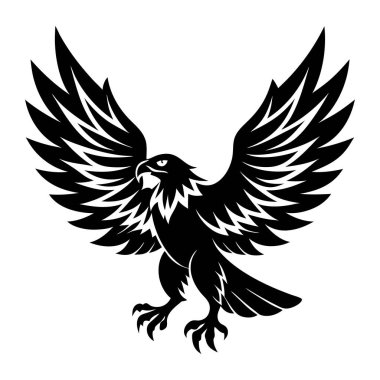 Kanatları açık bir siyah beyaz kartal. Kartal kameraya bakıyor. Görüntünün cesur ve güçlü bir havası var.