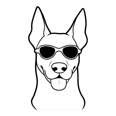 Yüzünde güneş gözlüğü olan bir köpek. Köpek gülümsüyor ve güneşin tadını çıkarıyor.