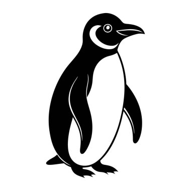 Beyaz arka planda bir penguen duruyor. Penguen kameraya bakıyor.