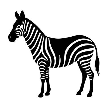 Beyaz arka planda bir zebra duruyor. Zebra görüntünün ana odak noktasıdır ve sahnedeki tek hayvandır. Zebranın siyah ve beyaz çizgileri bir kontrast hissi yaratır.