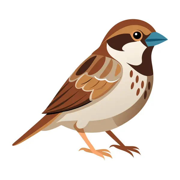 stock vector A brown and white bird with a blue beak