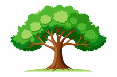 Yeşil yaprakları ve kahverengi gövdesi olan büyük bir ağaç. Resmin odak noktası ağaç.