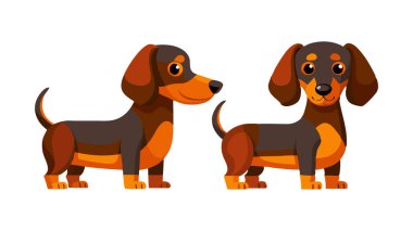 Beyaz arka planda, neşeli ve neşeli kişiliklerini sergileyen iki sevimli dachshund köpeğinin vektör çizimi.