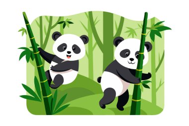 Canlı yeşil bir ormanda bambu ağaçlarına tırmanan iki pandanın oynadığı sevimli panda çizimi. Çocuk kitapları, eğitim materyalleri veya doğa temalı tasarımlar için mükemmel..