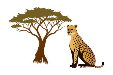 Vector illustration of a cheetah sitting beside an acacia tree, showcasing wildlife and nature in the African savanna. clipart