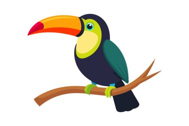 Toucan sağa bakan bir dalda oturuyor.