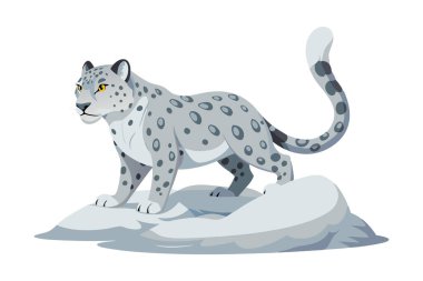 Buzda yürüyen iki kar leoparı.
