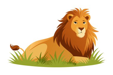 Otlakta yatan görkemli aslan.