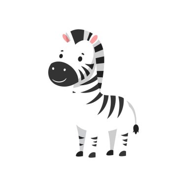 Yuvarlak vücutlu ve gülümseyen yüzlü neşeli bir zebra kendine özgü siyah beyaz çizgilerini sergiliyor..