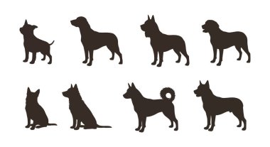 Sekiz farklı köpek silueti çeşitli cinsleri ve temiz bir arkaplanda poz vererek neşeli ve dinamik bir atmosfer yayıyor..