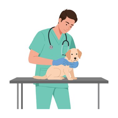 Resim, yeşil önlüklü bir erkek veterinerin, klinik ortamda sakin bir ortamda metal bir masada küçük bir köpek yavrusunu muayene ettiğini gösteriyor..