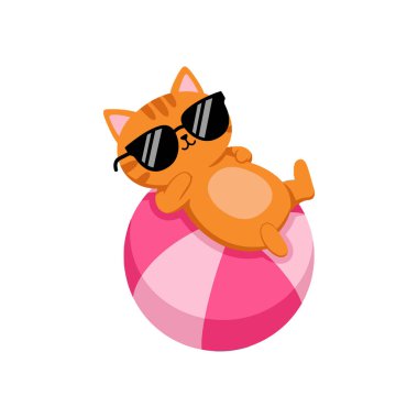 Oyuncak turuncu bir kedi çizgili pembe bir plaj topunun üzerinde uzanır ve şık güneş gözlükleriyle kaygısız bir yaz havası yayar..