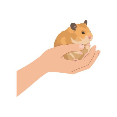 Altın kürklü küçük bir hamster bir insanın elinde rahatça oturuyor, sıcaklık ve şefkat hissi yayıyor..