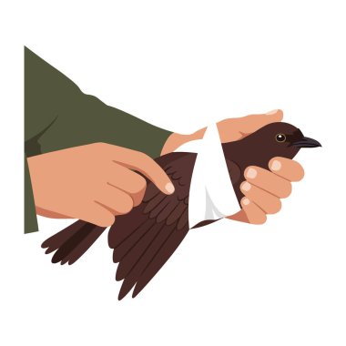 İki el, beyaz bir bandajı kahverengi bir kuşun etrafına sarar. Minimum tasarım tarzında şefkat ve özen gösterir..