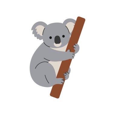 Çekici bir koala kahverengi bir dala tutunur, minimalist bir tasarımla neşeli ve sevimli bir ifade sergiler..