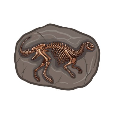 Çizimler, kahverengi kemikli gri bir kayanın içine gömülü bir dinozor fosili gösteriyor. Detaylı bir şekilde eski bir ruh halini yansıtıyor..