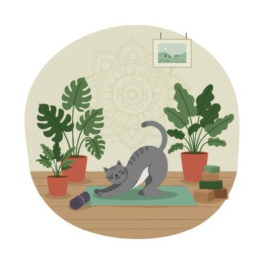 Gri kedi yeşil bir yoga minderinin üzerinde uzanır. Etrafı büyük kapalı bitkilerle ve sakin bir oda ortamında istiflenmiş bloklarla çevrilidir. Huzurlu ruh hali.