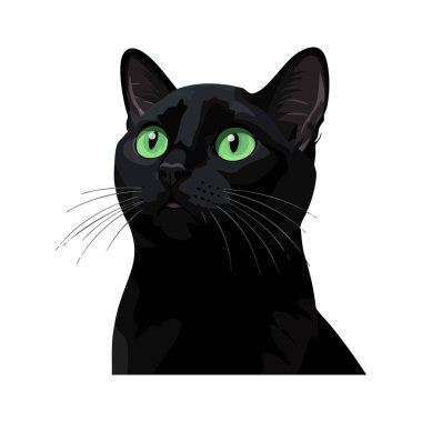 Siyah bir kedi tasviri, parlak yeşil gözlü, yukarı doğru bakan, sakin ve meraklı bir ruh hali yaratıyor..