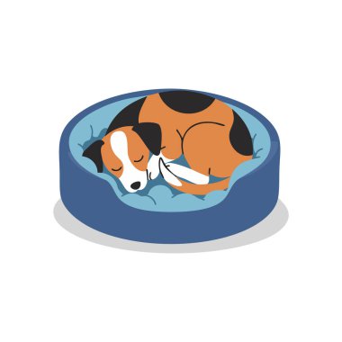 Mavi evcil bir yatakta rahat bir şekilde kıvrılmış, sakin ve huzurlu bir ruh hali içinde uyuyan bir köpeğin vektör çizimi..