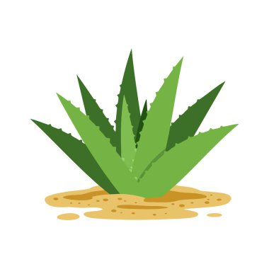 İllüstrasyon, yeşil agave bitkisinin kumlu zeminden düz bir şekilde filizlendiğini gösteriyor. Ruh hali doğal ve sakin..