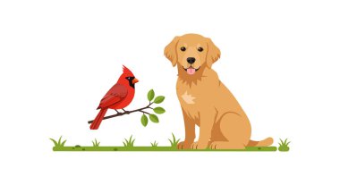İllüstrasyon, yeşil çimlerin üzerine tünemiş kırmızı bir kardinal kuşunun yanında oturan bir golden retriever köpeğini gösteriyor. Sakin ve dost canlısı..