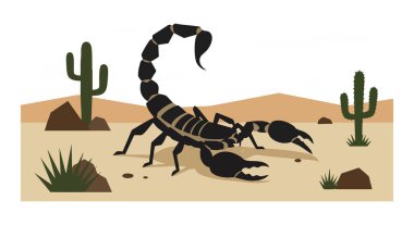 Çizimler, kumlu bir çölde kaktüs ve kayalarla sürünen bir kara akrebin açık ışık altında kuru ve doğal bir hava yarattığını gösteriyor..