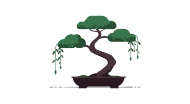 Çizimler, koyu yeşil yaprakları ve dikdörtgen bir tencerede bükülmüş gövdesi olan bir bonsai ağacının sakin ve doğal bir hava yarattığını gösteriyor..