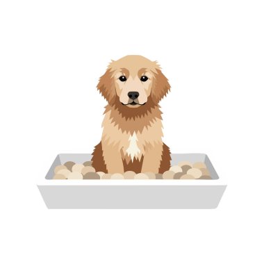 Golden retriever köpeği bej ve kahverengi bir köpek yatağında sakince oturur. Nazik bir ifadeyle ileriye bakar ve rahat bir atmosfer yaratır..