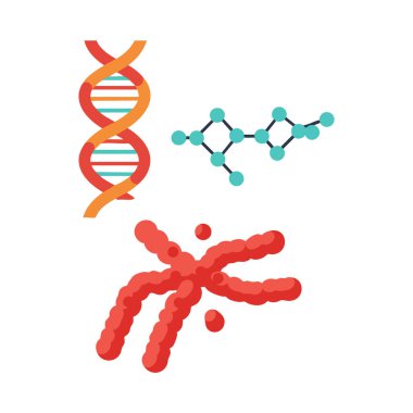 DNA sarmalları, kromozom ve moleküler yapı, genetik ve biyoloji kavramlarını parlak renkler, açık bir düzen ve bilimsel ruh hali ile temsil eden düz tasarım tarzında gösterilmiştir..