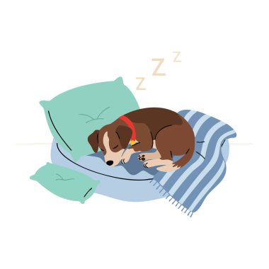 Kahverengi köpek, yeşil yastıklı mavi çizgili bir battaniyede huzur içinde uyuyor. Huzurlu ve huzurlu bir hava yayıyor..