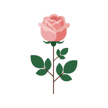 Bu vektör, sapında yeşil yapraklar olan pembe bir gül çiçeğini gösteriyor. Temiz ve minimal bir şekilde sunuluyor. Sakin ol..